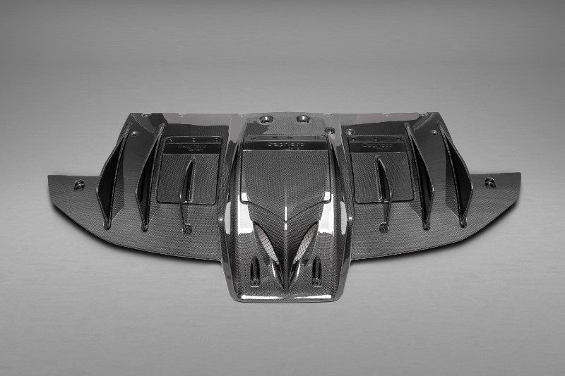 Capristo Exhaust Matte Rear Diffuser Ferrari 458 Speciale 2013-2015