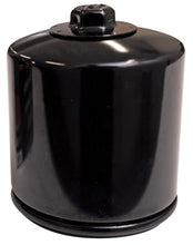Load image into Gallery viewer, K&amp;N 21-24 Harley Davidson Sportster S Spin-On Oil Filter - Black