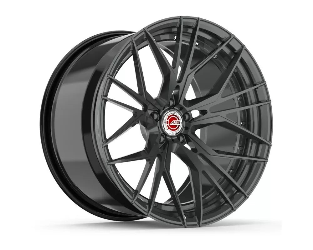 AL13 DB008 5050 18-24x8-13 2 Piece Forged Custom Wheel