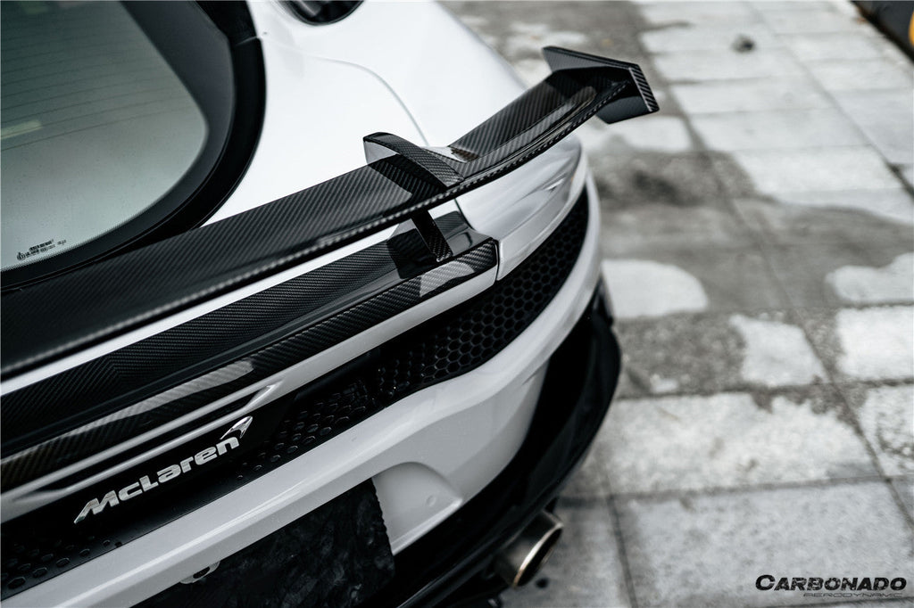 2019-2024 McLaren GT WP Style Dry Carbon Fiber Wing
