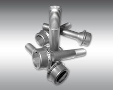 Load image into Gallery viewer, Novitec Titanium Wheel Bolt 10 Piece SetFerrari FF 12-16