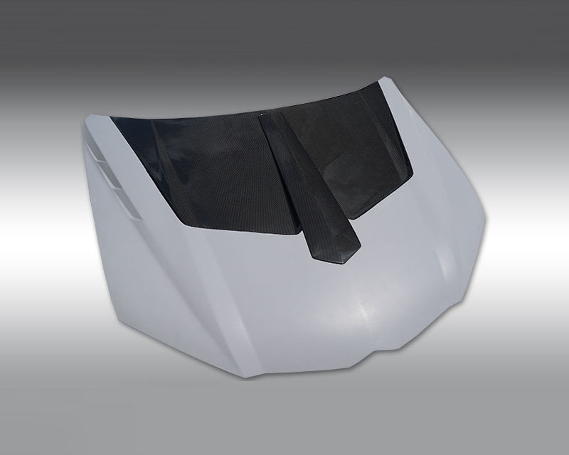 Novitec Hood Primed | Partial visible Carbon w/Cover Visible Carbon Lamborghini Urus 2019+