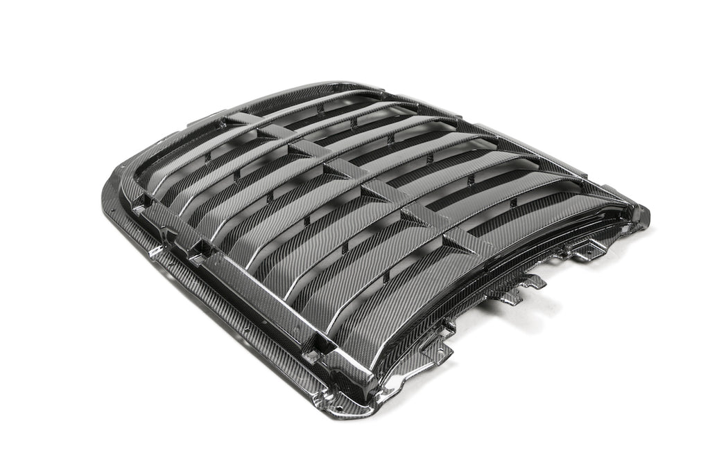 PRE-ORDER 2020 - 2021 GT500 Carbon Fiber Hood Vent Kit - Ford Performance