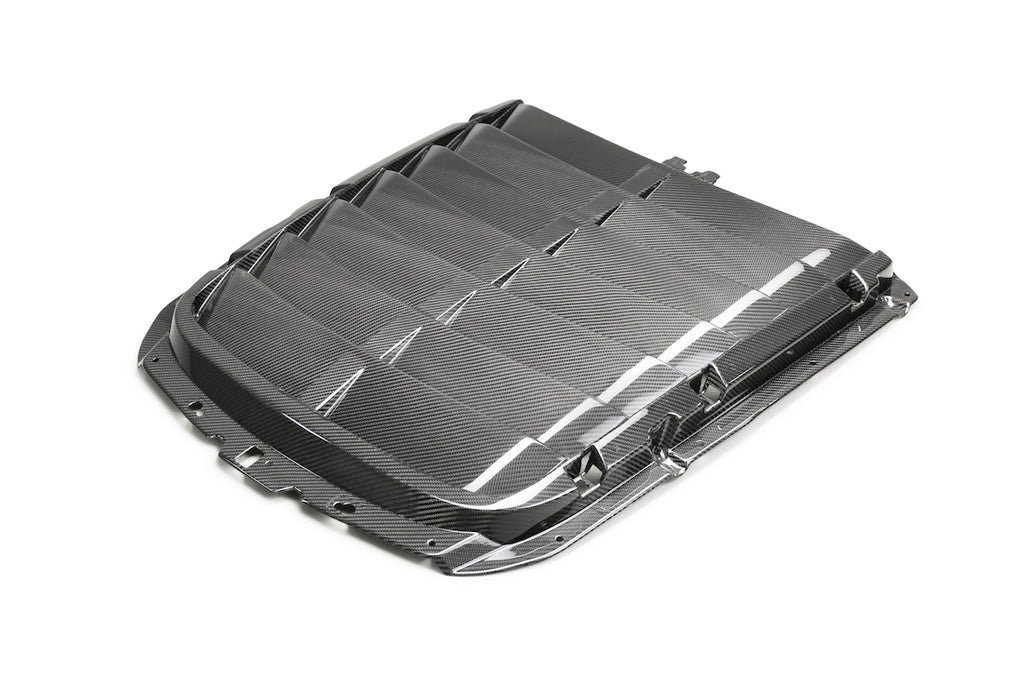 PRE-ORDER 2020 - 2021 GT500 Carbon Fiber Hood Vent Kit - Ford Performance