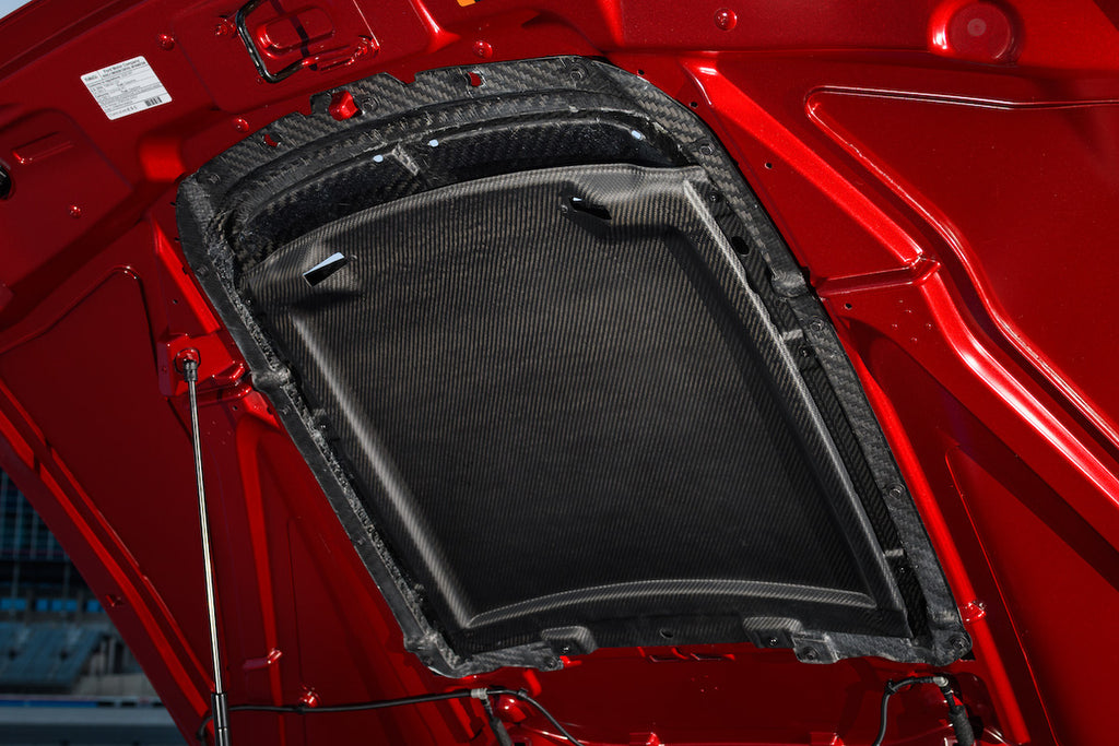 PRE-ORDER 2020 - 2021 GT500 Carbon Fiber Hood Vent Kit - Ford Performance