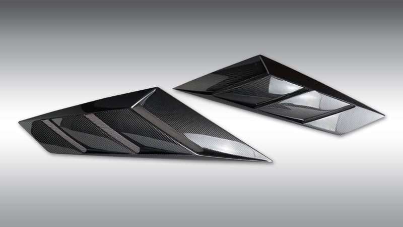 Novitec Visible Carbon Rear Air Intake Lamborghini Aventador SVJ 2020+