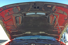 Load image into Gallery viewer, 2015 - 2020 Mustang Shelby GT350 Double Sided Carbon Fiber Hood