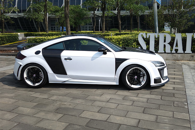 DarwinPRO 2006-2014 Audi TT & TTS DPRG Style Side Blades