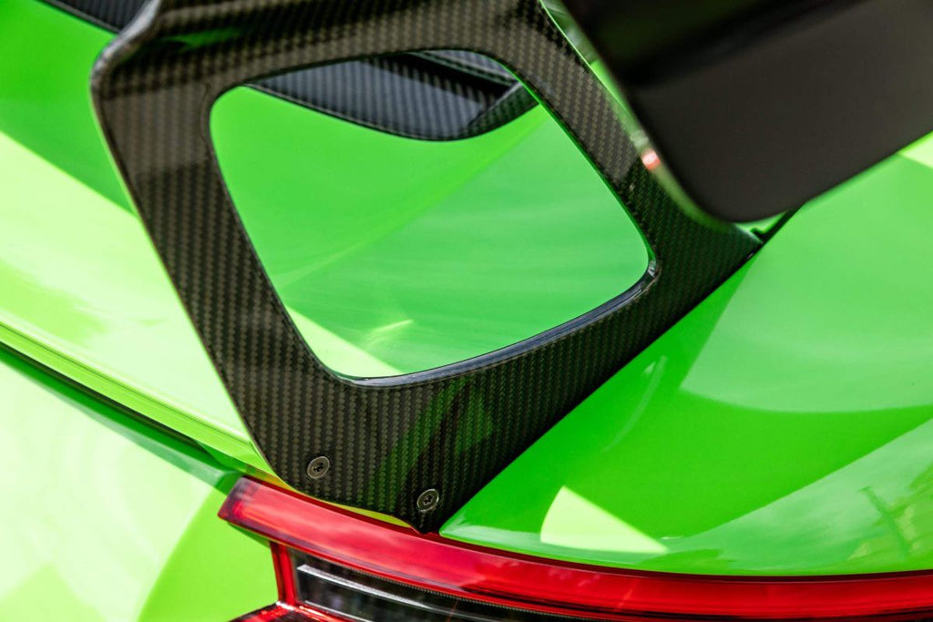 1016 Industries Carbon Fiber Wing Legs Porsche 991.2 GT3/GT3 RS 2017-2019