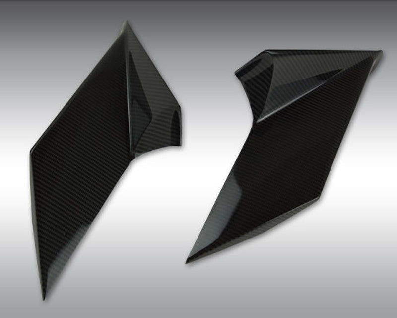 Novitec Carbon Fiber Front Strut Lamborghini Aventador S | Roadster S 2017-2020